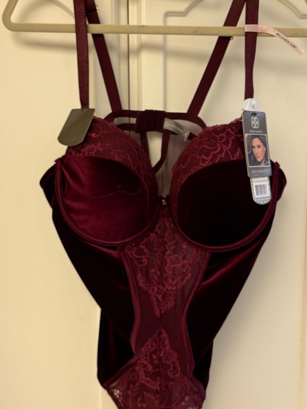 Daisy Fuentes Burgundy Lace & Velvet Chemise Bodysuit